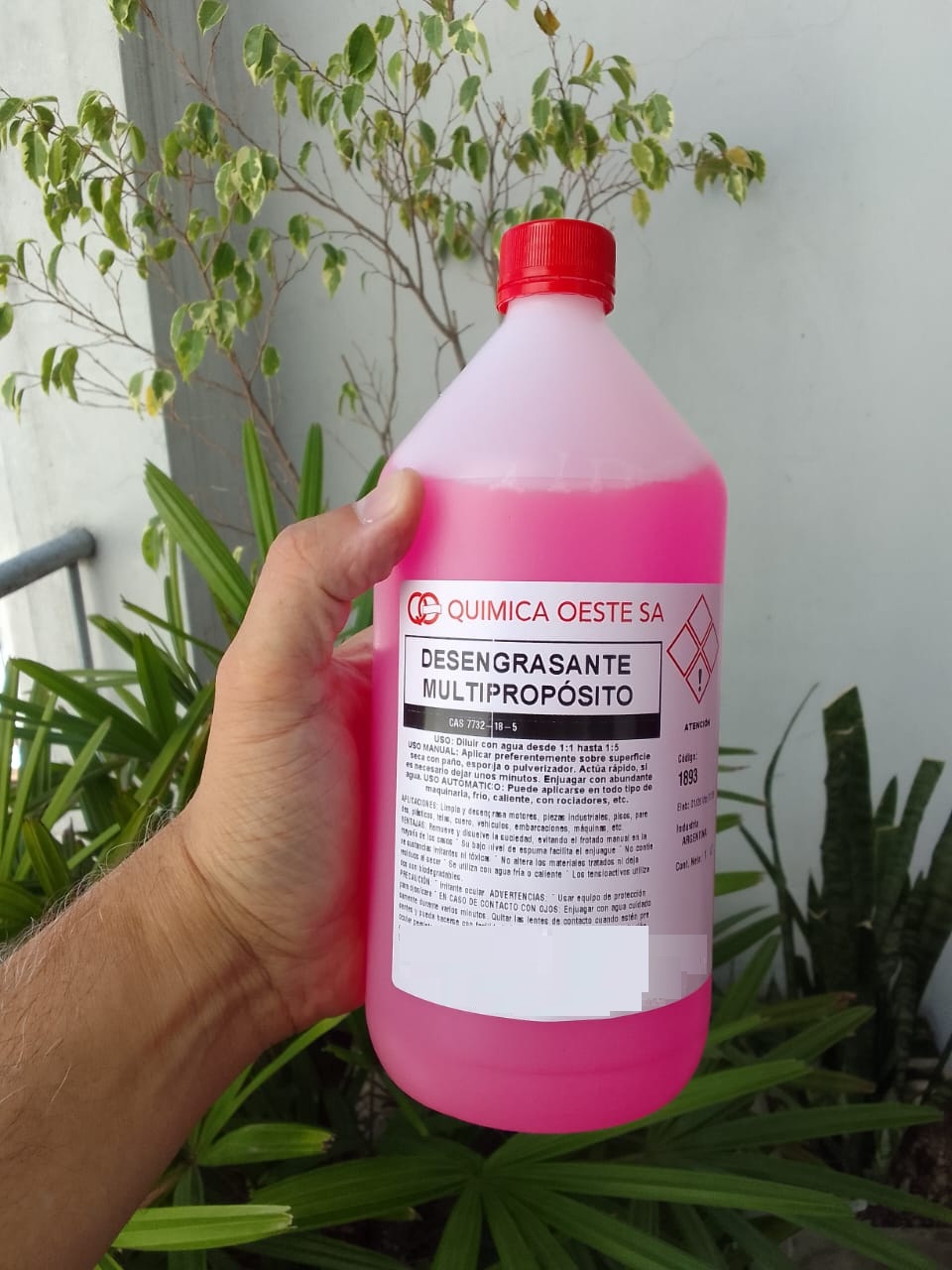 DESENGRASANTE MULTIPROPOSITO x 1Lt