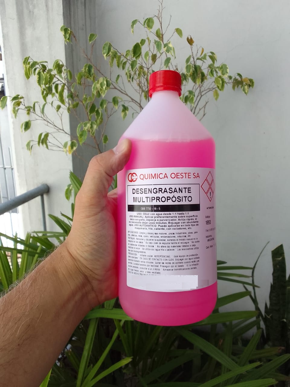 DESENGRASANTE MULTIPROPOSITO x 1Lt