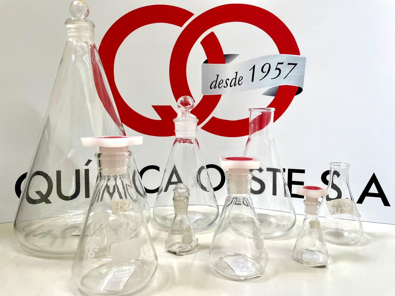 ERLENMEYER T/PLASTICA 250 ml