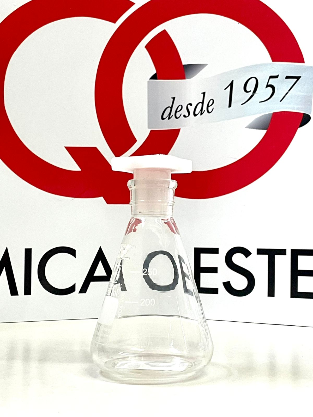 ERLENMEYER T/PLASTICA 250 ml
