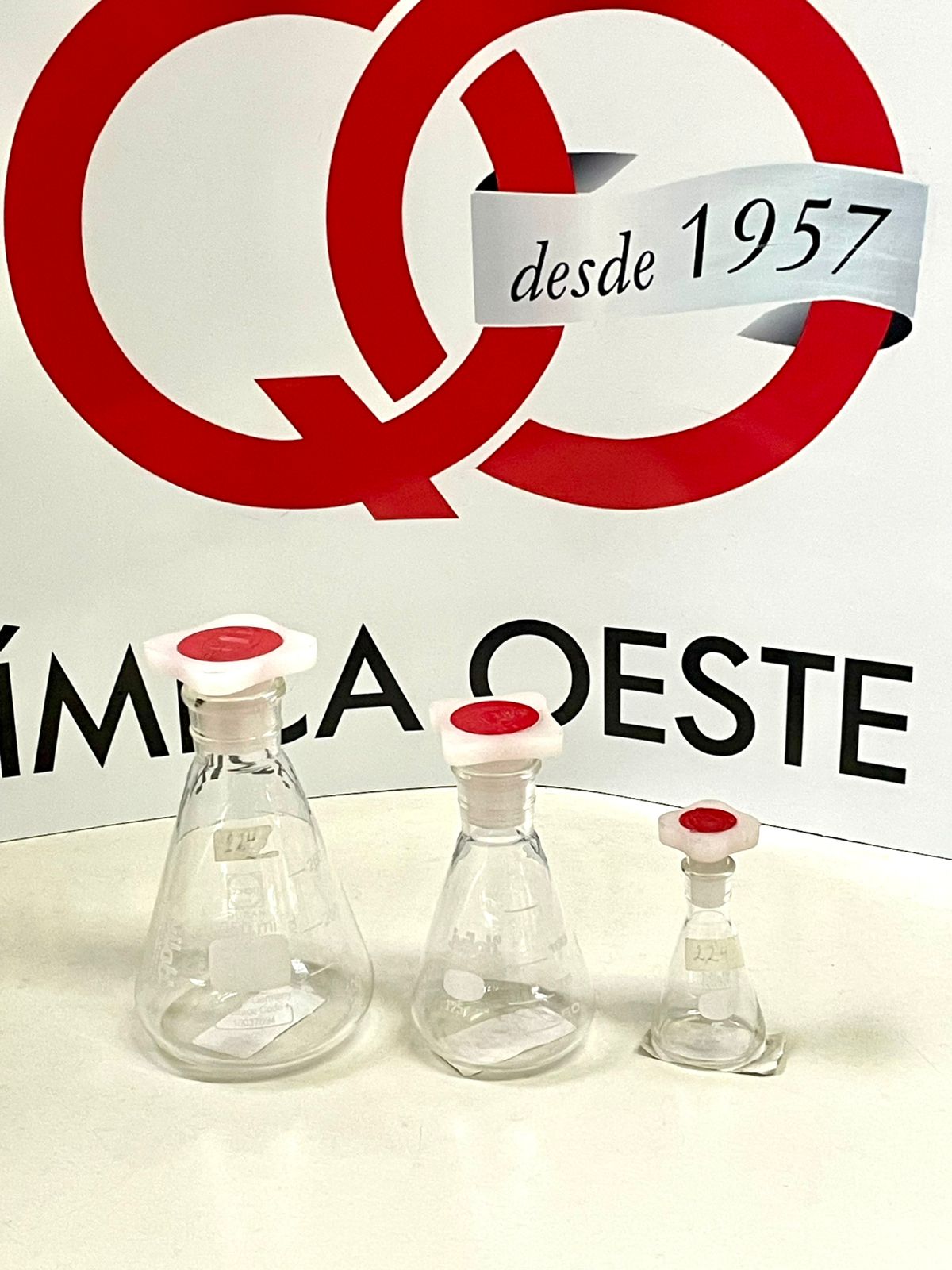 ERLENMEYER T/PLASTICA 250 ml