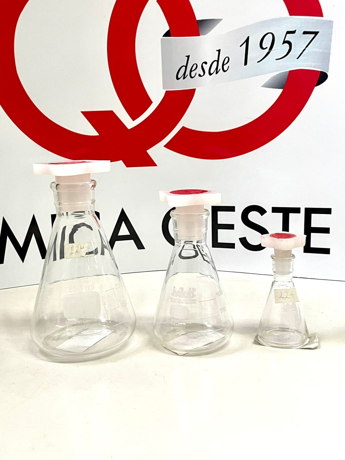 ERLENMEYER T/PLASTICA 250 ml